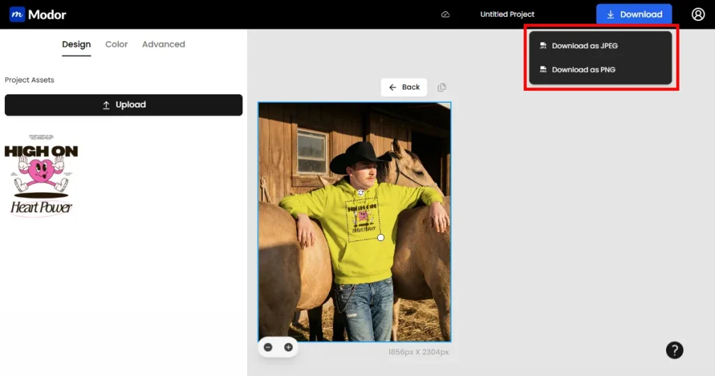 Download hoodie mockup
