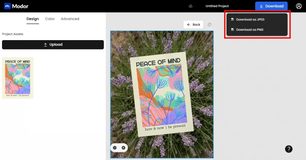 Download final poster mockup