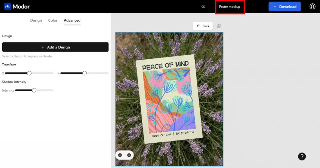 Give a name to your poster mockup on Modor