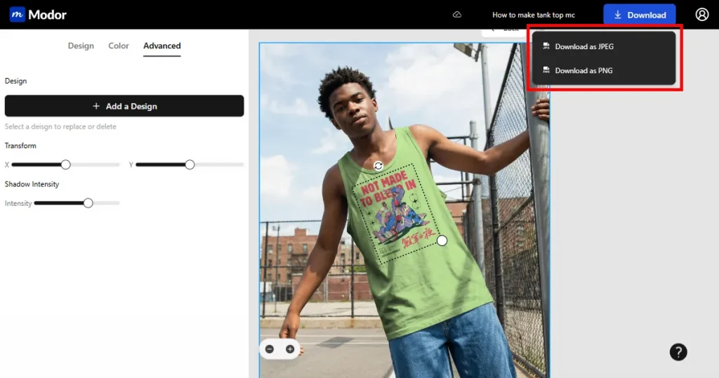 Guide to exporting images from Modor