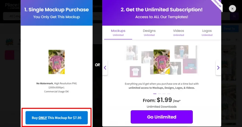 Placeit payment options to download a mockup