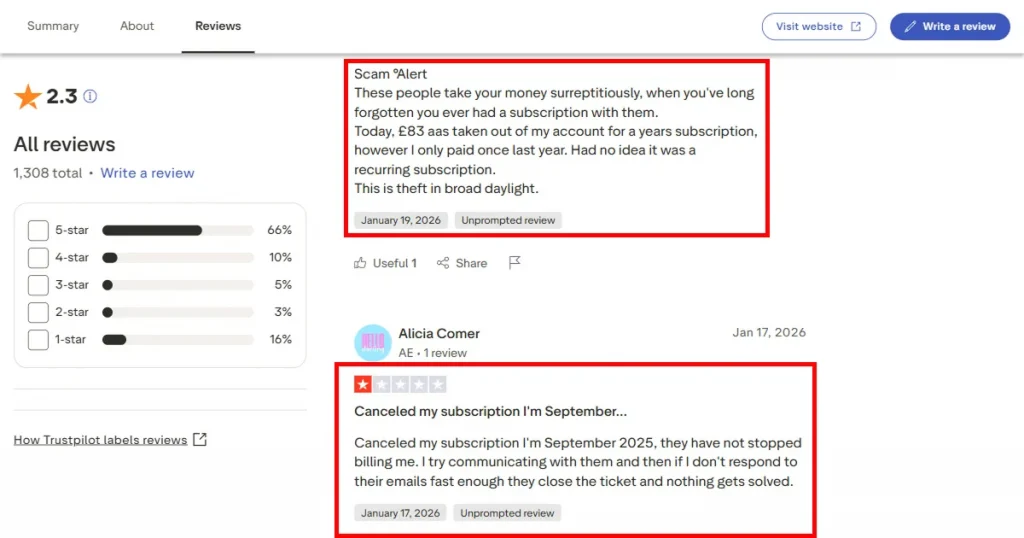 Placeit reviews on Trustpilot, written by real users