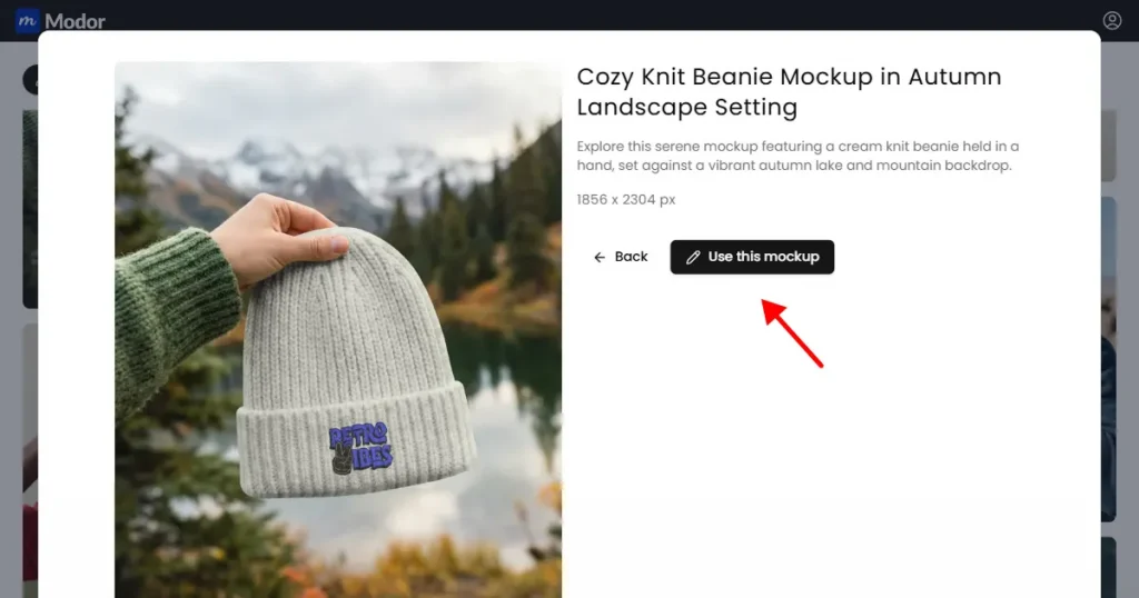 Guide to using a mockup in Modor