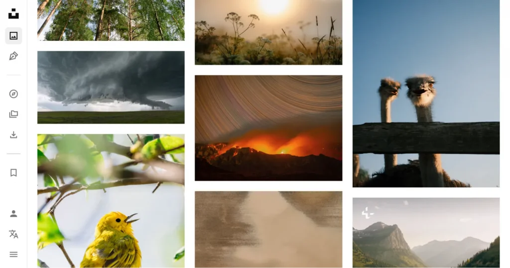 Unsplash stock photographs